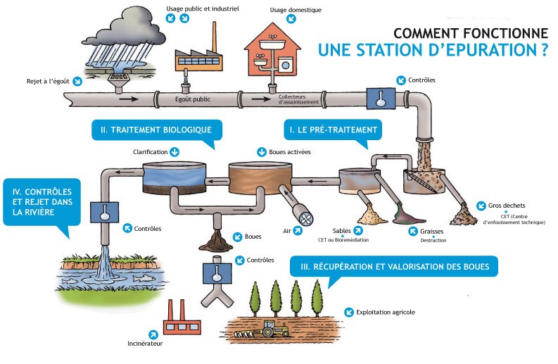 Traitement des Eaux (Potabilisation & Épuration)